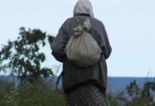 Ушедшая за ягодами жительница Лельчицкого района самостоятельно вышла из леса пенсионерка, лес, заблудилась