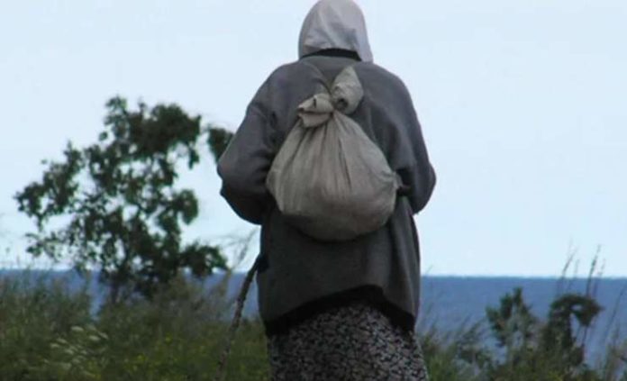 пенсионерка, лес, заблудилась