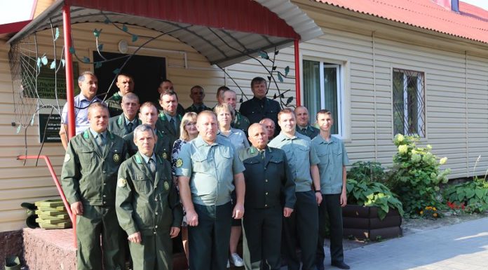 коллектив, лесхоз, лесничество