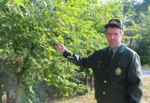 Мастерство и надёжность Николая Тушинского Тушинский, лесхоз, Лельчицы