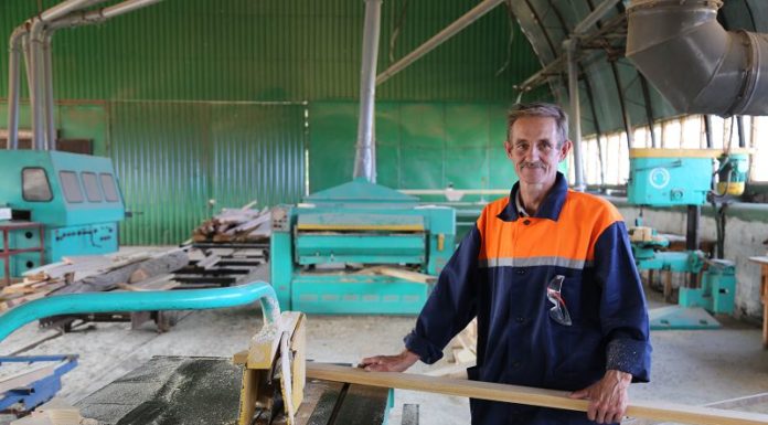 Кожан, лесхоз