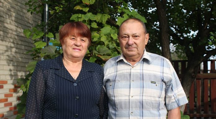 овсяник, семья, пожилые