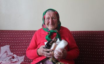 Симоничи, бабушка, БСЖ