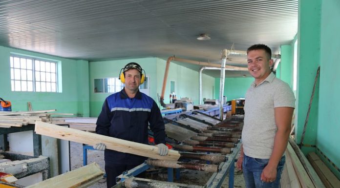 Милошевичи, лесхоз,лес