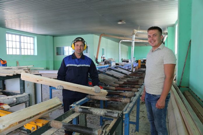 Милошевичи, лесхоз,лес