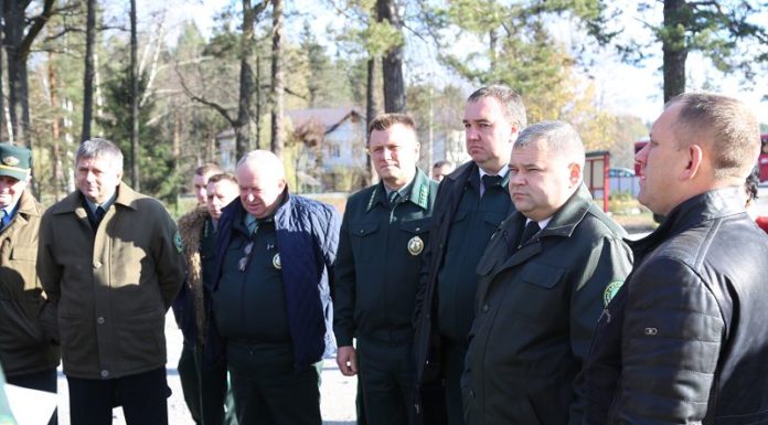 лесхоз, коллегия, Лельчицы