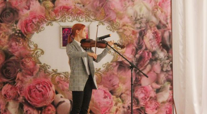 скрипка, скрипач, день работников культуры