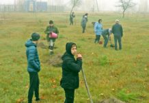 благоустройство, Глушковичи