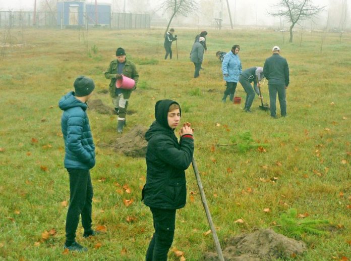 благоустройство, Глушковичи