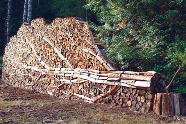 дрова, заготовка, Лельчицкий лесхоз