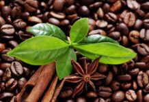 кофе, свойства, польза