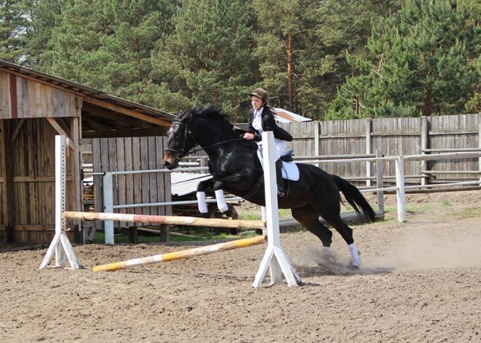 ФСК, Лельчицы, лошадь