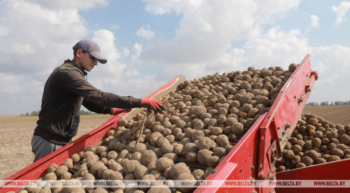 сбор урожая