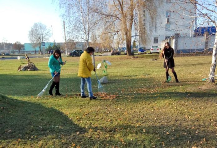 лтцсон, уборка, благоустройство
