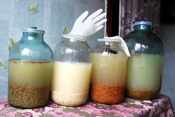 самогон, брага, алкоголь