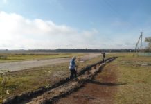 благоустройство, букча