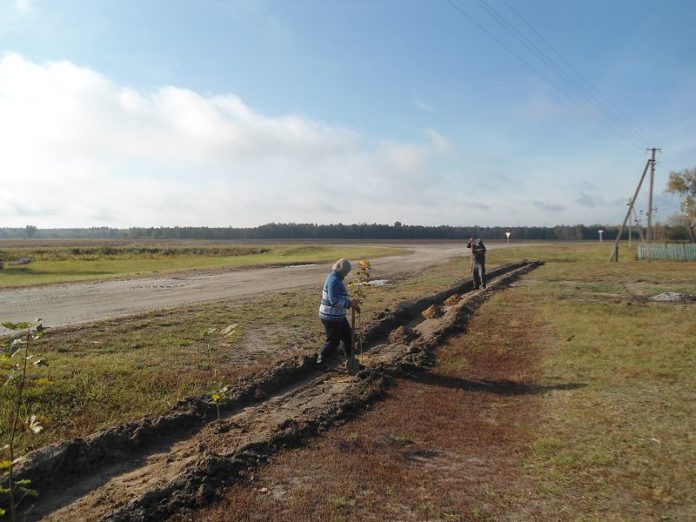 благоустройство, букча