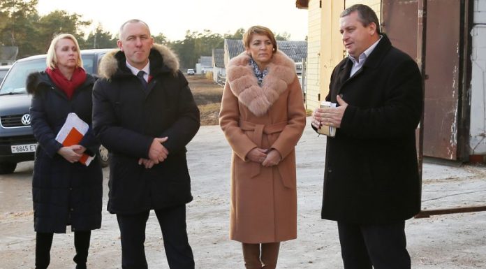 день совета, Косинский