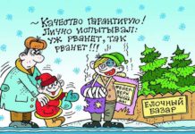 Какие правила безопасности стоит соблюдать жителям района в новогодние праздники рочс, карикатура