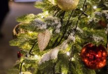 ёлка, новй год