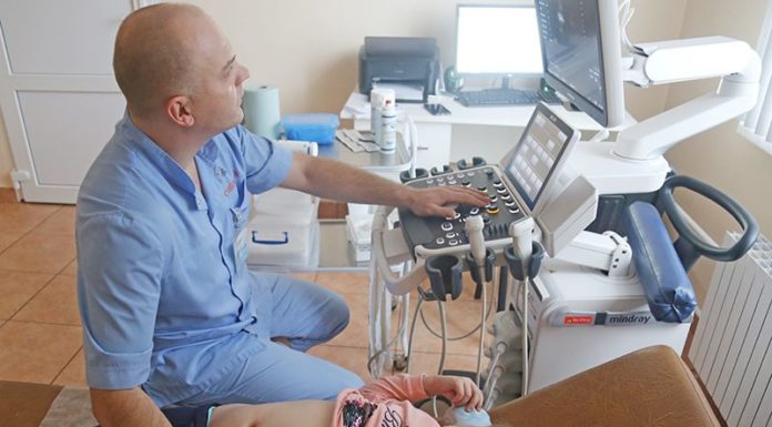 Соновита, Лельчицы