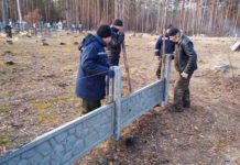 благоустройство