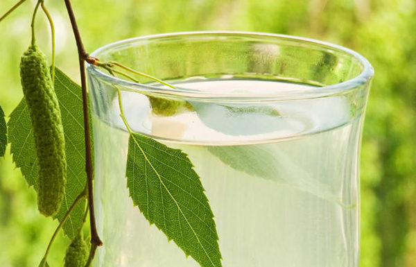 березовый сок