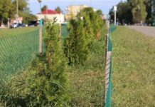 благоустройство