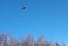 Пожар в Лельчицком районе тушат сотни человек, спецтехника и авиация