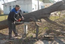 благоустройство, Букча