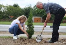 благоустройство