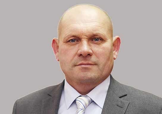 Золотарник — «зеленый агрессор» Вересович