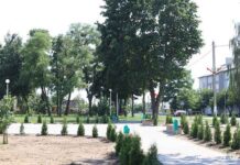 парк, военная техника