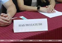 наблюдатели, выборы