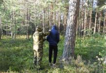 сигареты, задержание, преступление