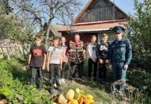 Пожилым гражданам Лельчиц оказали помощь в уборке урожая урожай