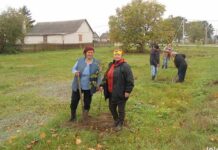 благоустройство