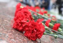 гвоздика, возложение