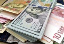 Обменять валюту станет проще: в Беларуси смягчают требования к платежеспособности банкнот Валюта, деньги