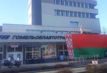 Патриотический флешмоб с госсимволикой провели в Гомеле