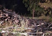 Штабель лесоматериалов повреждён при пожаре в Букче