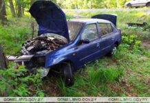 В Лельчицком районе произошло ДТП: водитель предположительно уснула за рулём