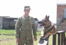 В Мозырский погранотряд требуются кинологи Собака, граница
