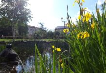 Лельчицы, лето, весна