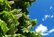 Погода, весна