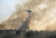 В Греции спасли от пожара Древнюю Олимпию