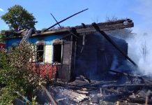 Ликвидирован пожар в аг. Глушковичи
