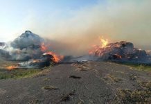 В ОАО «Уваровичи Элит» сгорело 55 тонн сена