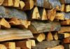 Лельчицкий лесхоз реализует дрова (в том числе колотые)