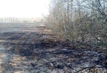 Потушили лесные пожары